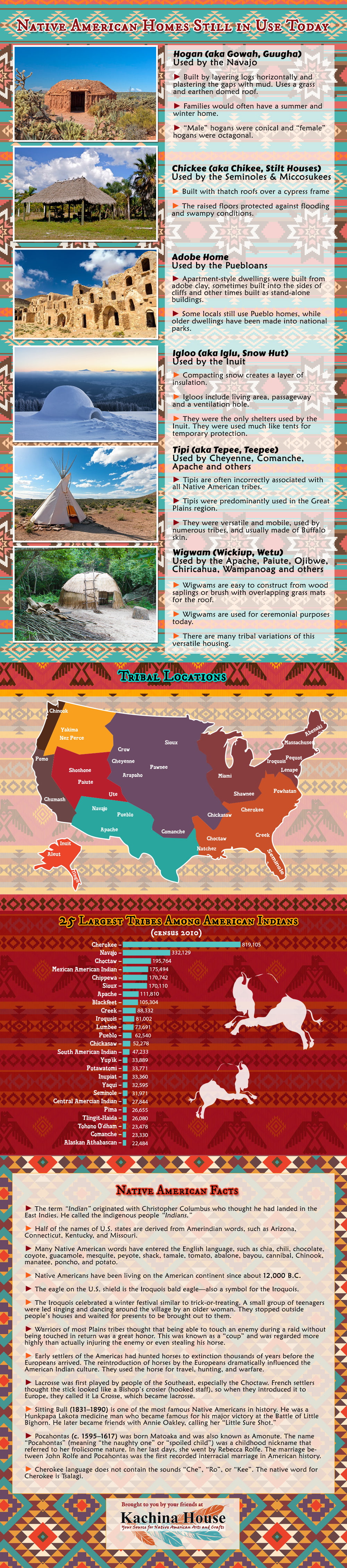 Native American Homes Infographic